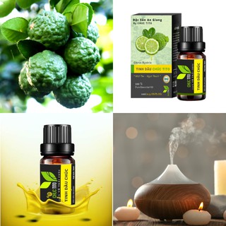[ Đặc Sản An Giang ] Tinh Dầu Trái Chúc TITO An Giang ( Chai 10ml )