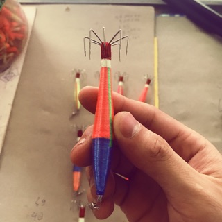 Lưỡi chùm quấn câu mực