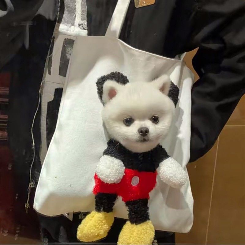 Túi Đeo Vai Hình Mặt Cười Dễ Thương Dành Cho Thú Cưng/Mèo Cưng/Cún Nhỏ/Mèo Cưng DIY