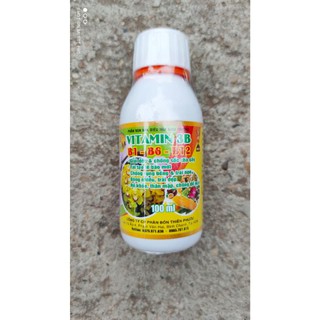 Chế phẩm điều hòa sinh trưởng cây trồng vitamin 3B 100ml