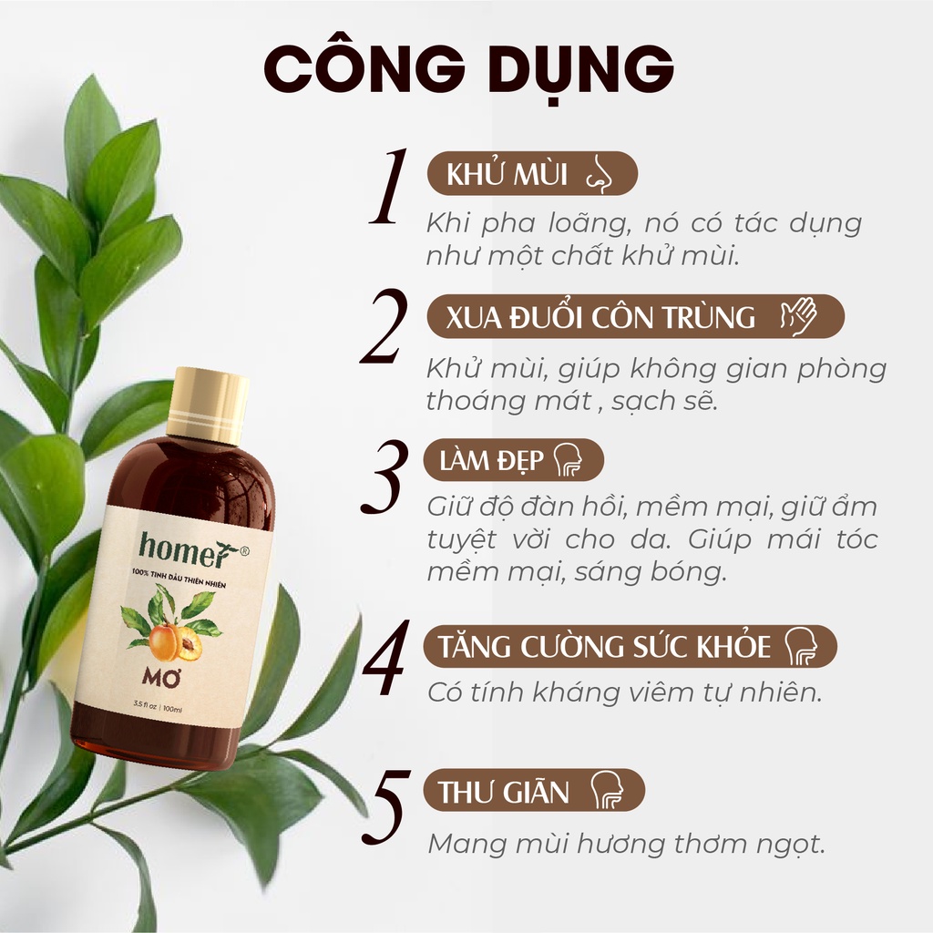 Tinh dầu Mơ Homer 500ML/ 1L- Kernel  Essential Oil  - đạt chuẩn chất lượng kiểm định