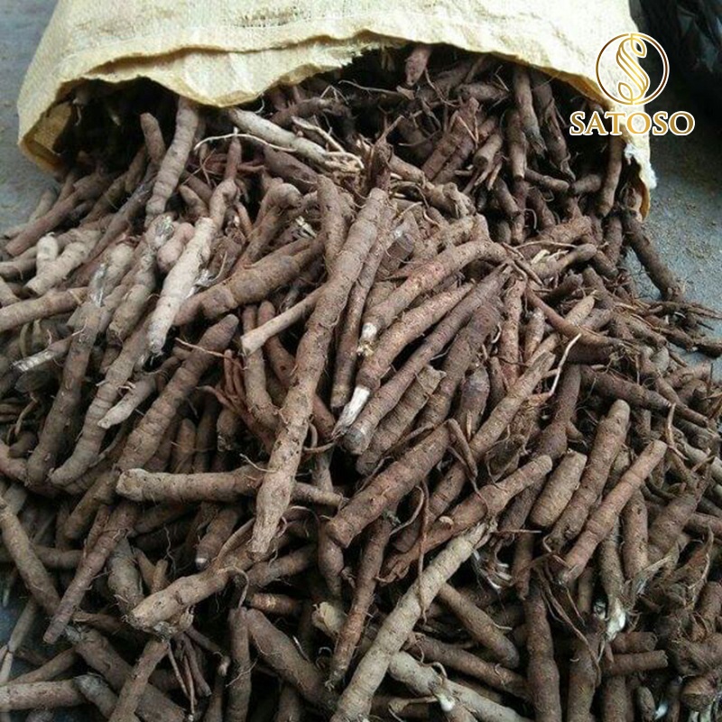 Sâm cau đen (Tiên mao) SATOSO 1kg thượng hạng tốt cho sinh lực nam giới SA55