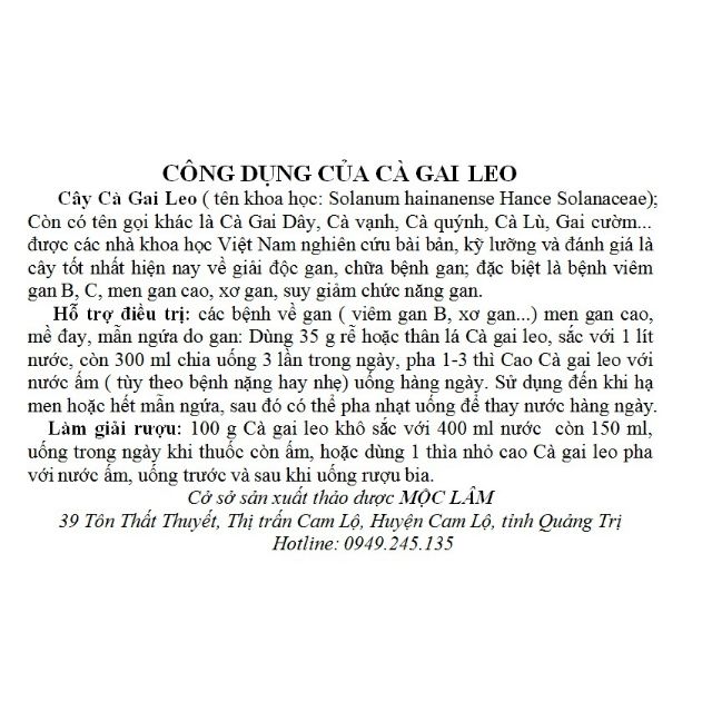 Cà gai leo khô ( gói 1kg ) bổ gan, điều trị các bệnh về gan