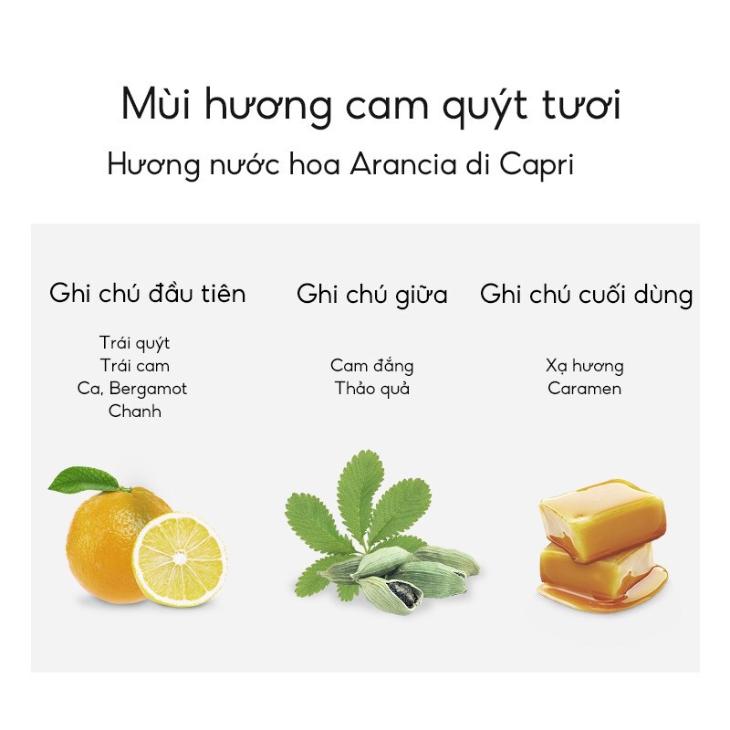 🌷XẢ KHO🌷Sữa Rửa Mặt Perfect Diary Acid Amin Làm Sạch Sâu, Nhẹ Dịu, Không Gây Kích Ứng Cho Da - Logod.s