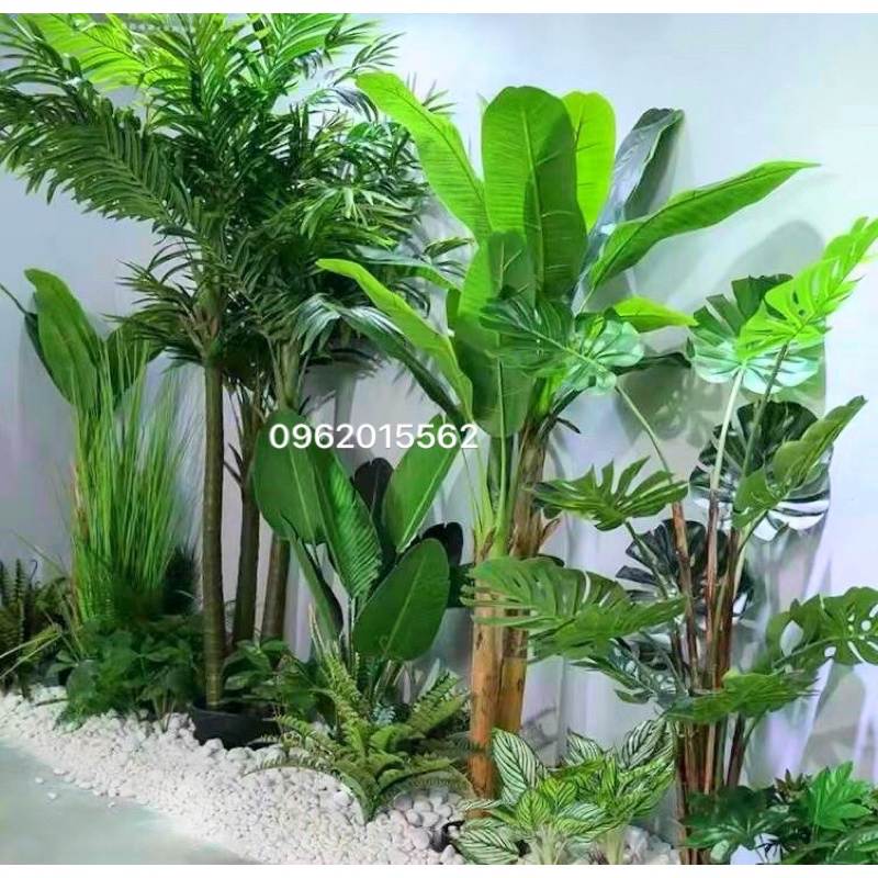 Cây chuối cảnh giả cao 160cm 13 lá - cây chuối quê (ảnh + vdeo thật)