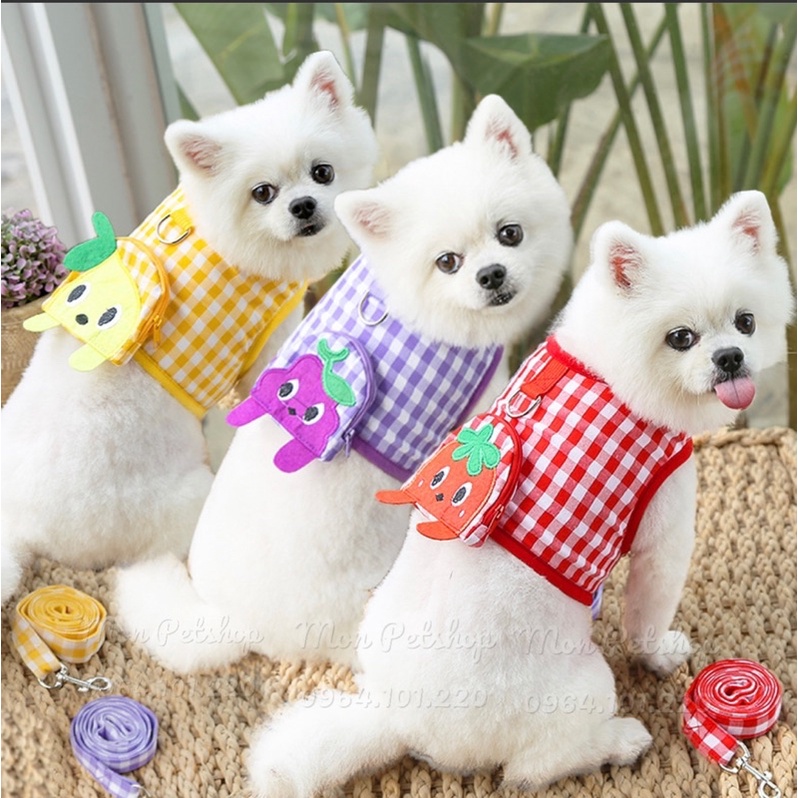 [Có sẵn] Yếm dắt có ba lô cho thú cưng