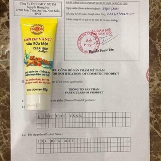 Sưa rưa mặt linh chi vàng