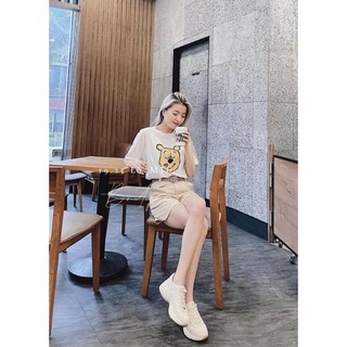 set gấu pull
