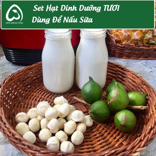 Set Hạt Dinh Dưỡng Tươi - Dùng Làm Sữa - An's Green Farm