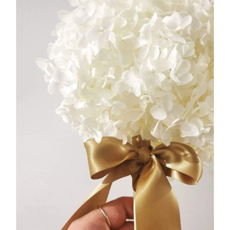 Cẩm Tú Cầu Khô vĩnh cữu [hoa thật - hoa khô]