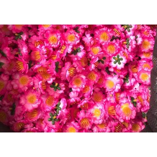 500g bông đào mai rời