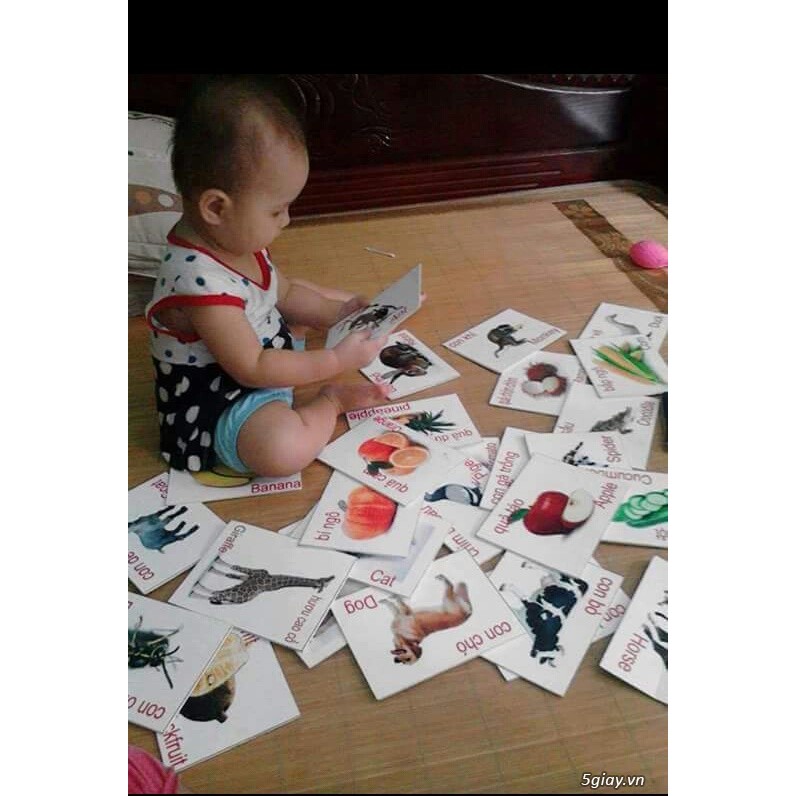 Flash Cards (thẻ học) size LỚN 16x12cm nhiều chủ đề cho bé [Song ngữ 2 mặt]