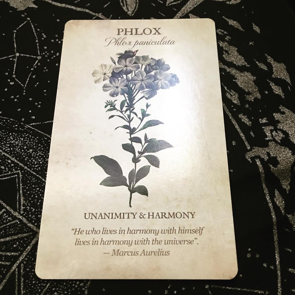 Bộ Bài Botanical Inspirations Deck (Mystic House Tarot Shop)