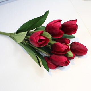 Chùm hoa tulip