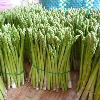 Hạt giống măng tây xanh 10 hạt