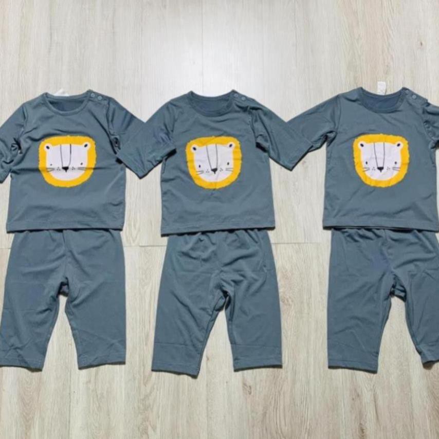 Bộ bé trai, bộ cotton cho bé xuất hàn hổ xám Moimol