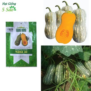 Hạt giống BÍ ĐẬU TRÁI DÀI YANA 30 (1g)