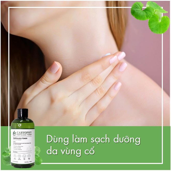 Nước Hoa Hồng Ngừa Mụn Kiềm Dầu Giảm Thâm Caryophy Portulaca Toner 300ml