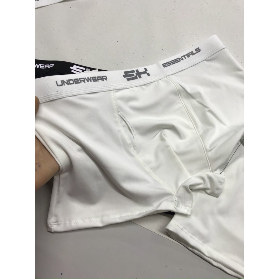 Combo 2 quần xì nam đùi vải thun lạnh kháng khuẩn co gãn sịp đùi boxer ARIOSO QL10