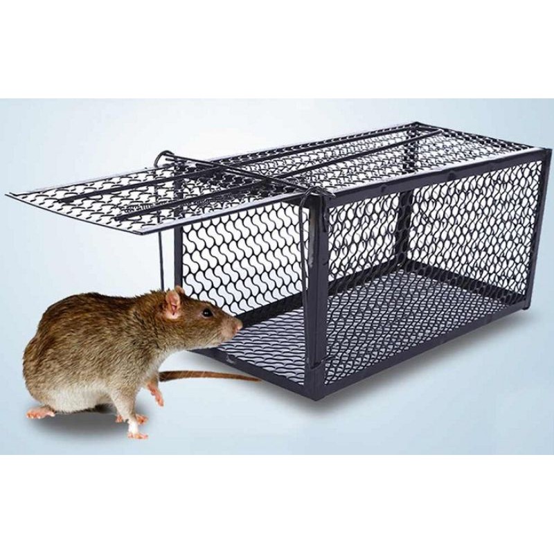 LỒNG BẪY CHUỘT BẰNG THÉP