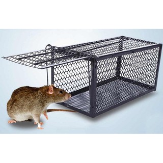 LỒNG BẪY CHUỘT BẰNG THÉP