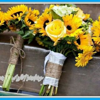 Dây thừng 10 mét - bản 2mm