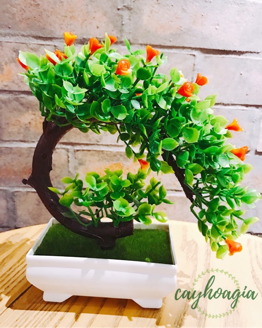 Cây Giả - Chậu Cảnh Bonsai PVC