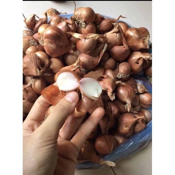 HÀNH KHÔ  LOẠI 1 ĐÃ CHON LỌC HẢI DƯƠNG