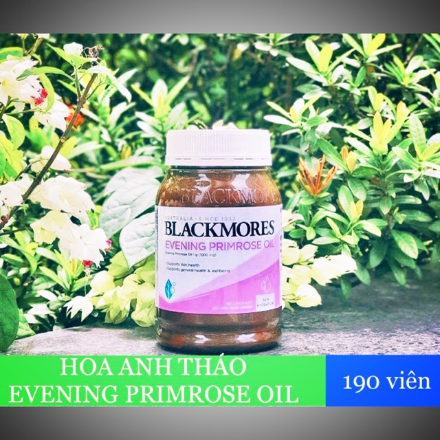 VIÊN UỐNG TINH DẦU HOA ANH THẢO BLACKMORE EVENING PRIMROSE OIL CỦA ÚC  (Mẫu mới - chai 190 viên) | BigBuy360 - bigbuy360.vn
