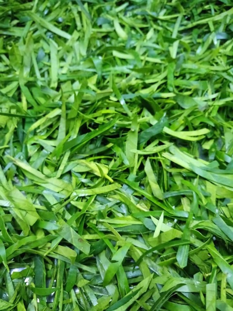 500GRAM/1KG KHÔ GÀ LOẠI NGON [LÁ CHANH+BƠ TỎI+SẢ ỚT+TỎI ỚT+CAY TRUYỀN THỐNG] CÓ GIẤY KIỂM ĐỊNH VSATTP | BigBuy360 - bigbuy360.vn