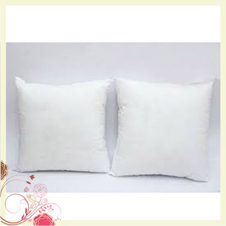 Combo 2 Chiếc Ruột Gối Vuông Bông Hạt Ép Chân Không Cao Cấp 45x45 Chất Lượng