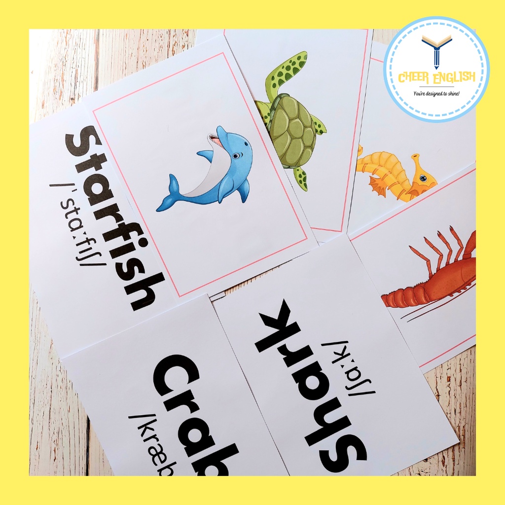 Flashcard chủ đề động vật biển thẻ học Tiếng Anh ép plastic