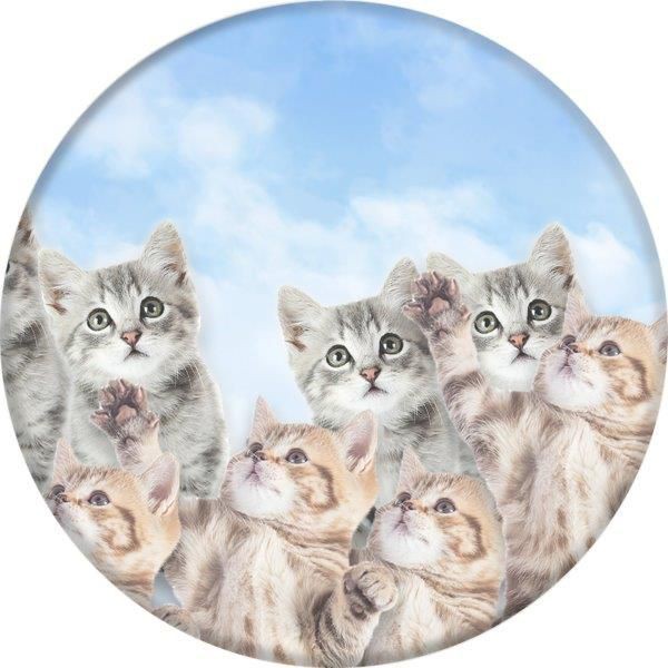 [Freeship toàn quốc từ 50k] Giá đỡ điện thoại đa năng PopSockets SKY KITTIES GY GY - 800093