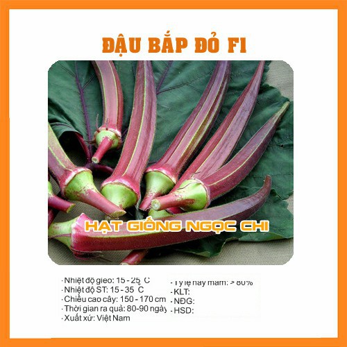 Hạt Giống Rau Đậu Bắp Đỏ - 5Gr