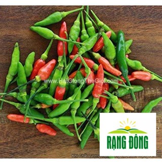 0.1g Hạt Giống Ớt Xiêm Thái Lan (A2.104 | C1)  LUYKYSEEDVN