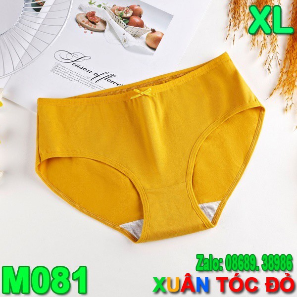 SỈ ZALO RẺ HƠN NHIỀU_ Quần Lót Cotton Trơn 7 Màu Mới Cực Xịn M081 SIZE TO XL