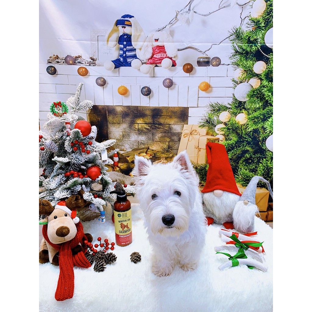 Sữa tắm dưỡng mềm lông RELIQ dành cho chó mèo 500ml