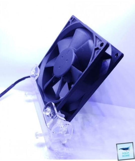 Quạt đơn, Quạt đôi tản nhiệt làm mát hồ thủy sinh, hồ cá tép, Bộ nguồn adapter cho quạt bán riêng