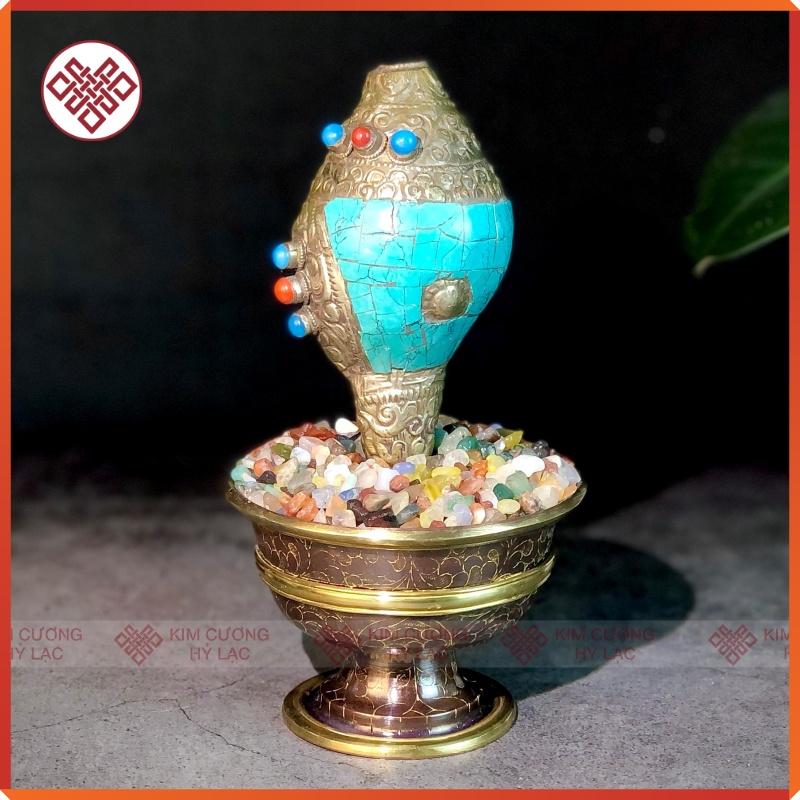 Ốc Pháp Loa, Ốc Cúng Dường  Nepal