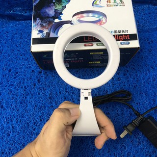 ĐÈN LED TRÒN XML TRẮNG - 3 MÀU KẸP BỂ CÁ