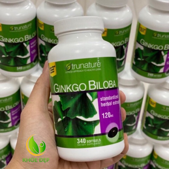 Viên Uống Bổ Não Ginkgo Biloba 120mg Của Mỹ 340 Viên - Tăng cường trí nhớ, cho não khỏe mạnh