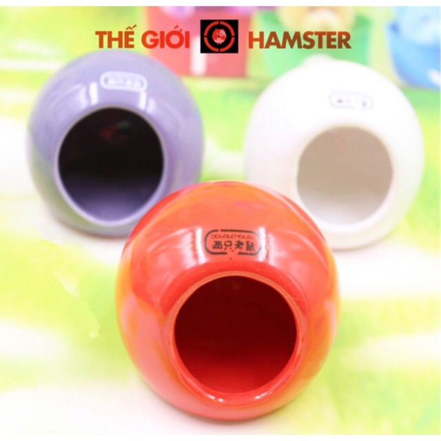 Nhà ngủ sứ tròn