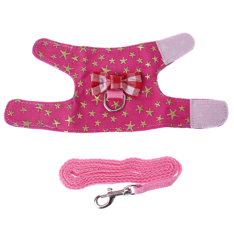 Áo Vest Kèm Dây Dắt Chuột Hamster Đi Dạo Thoải Mái Tùy Chỉnh Tiện Dụng