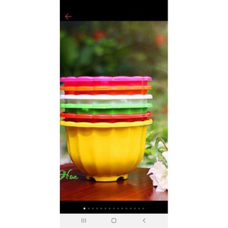 Chậu bí sai to (22cm x15cm ) kèm quai treo giá bất chấp