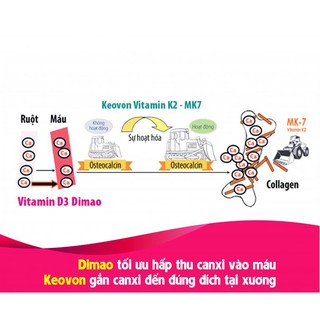 2 Keovon Spray Vitamin K2  (Chai 25ml)