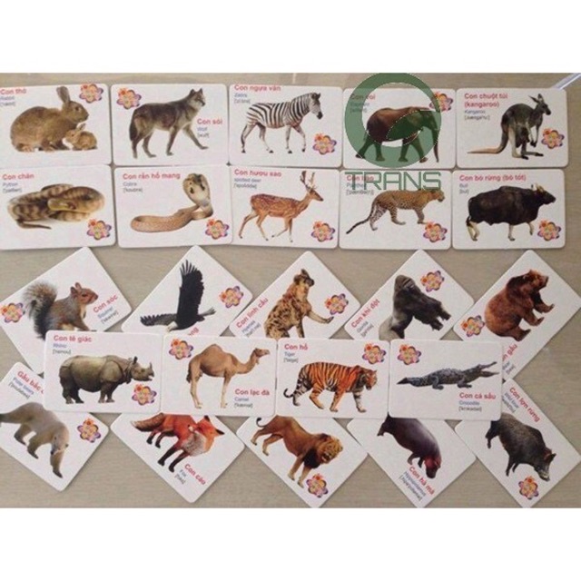 Bộ thẻ học thông minh 16 chủ đề 416 thẻ song ngữ Anh Việt cho bé - flashcard thông minh theo montessori