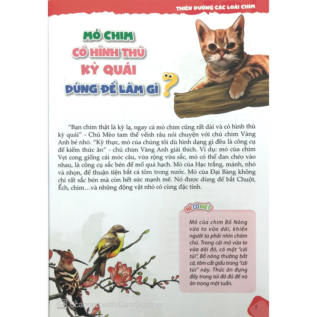 Sách - 10 Vạn Câu Hỏi Vì Sao - Chim Và Động Vật Biển