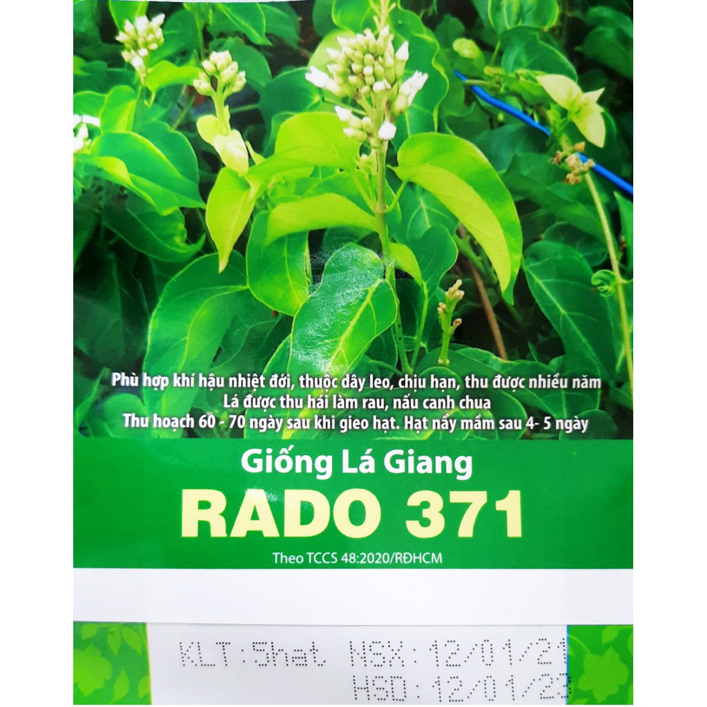 hạt giống lá giang dễ trồng giải nhiệt -hàng công ty chất lượng tốt -gói 5 hạt