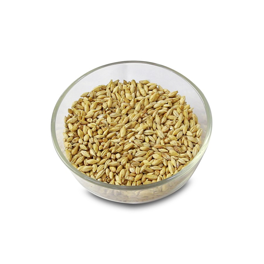 Malt nấu bia Vienna Malt