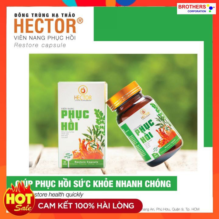[Chính hãng] Viên nang phục hồi Hector (Lọ 30 viên x 250 mg)